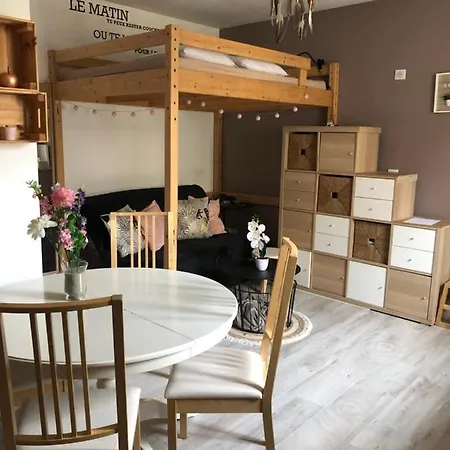 Apartment Magnifique Studio Centre Troyes