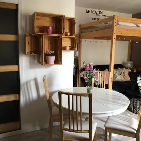 Magnifique Studio Centre Apartment